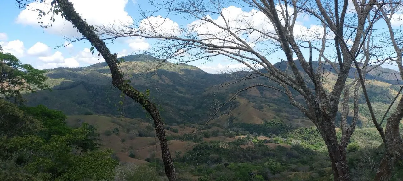 4000m² Flat Lot with Orange Trees &amp; Stunning Mountain Views – Nicoya Peninsula