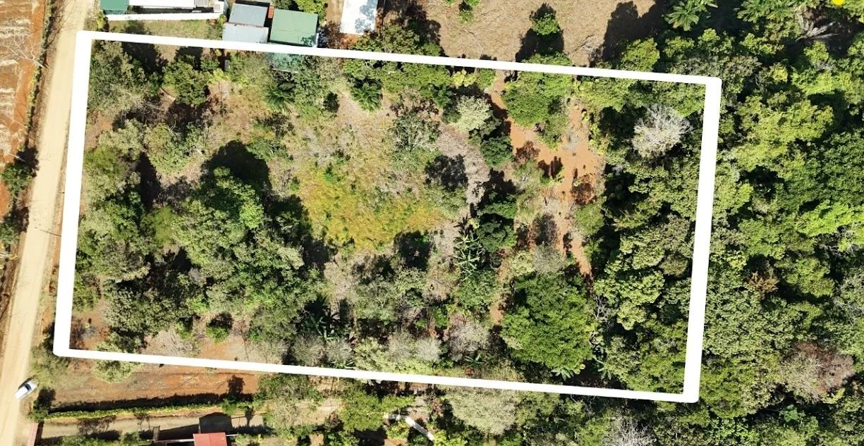 Land for sale in La Ceniza, Perez Zeledon