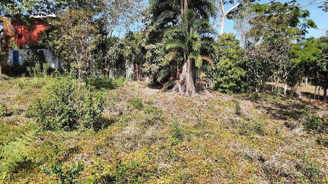 Land for sale in La Ceniza, Perez Zeledon — photo 2