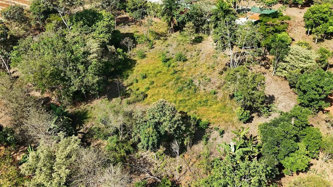 Land for sale in La Ceniza, Perez Zeledon — photo 5