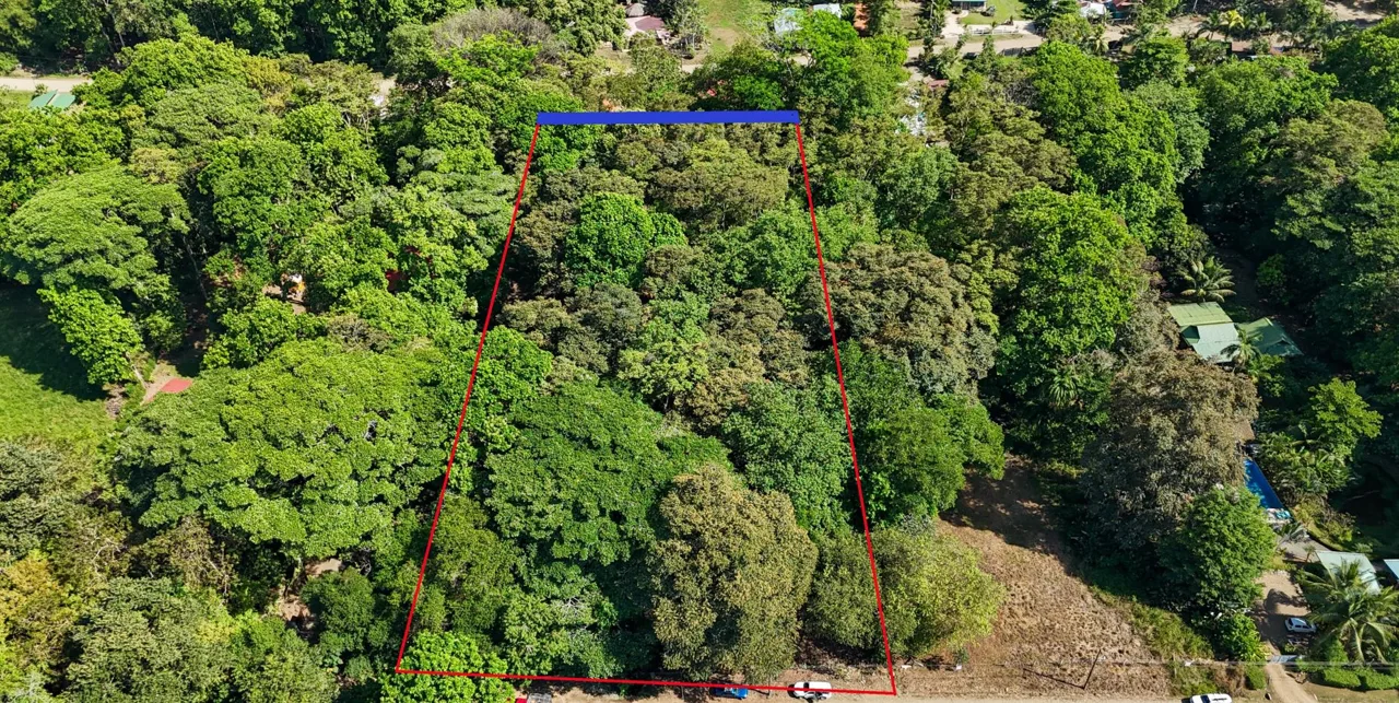 A large jungle-clad piece of land with mountain views, internal creek, and river frontage