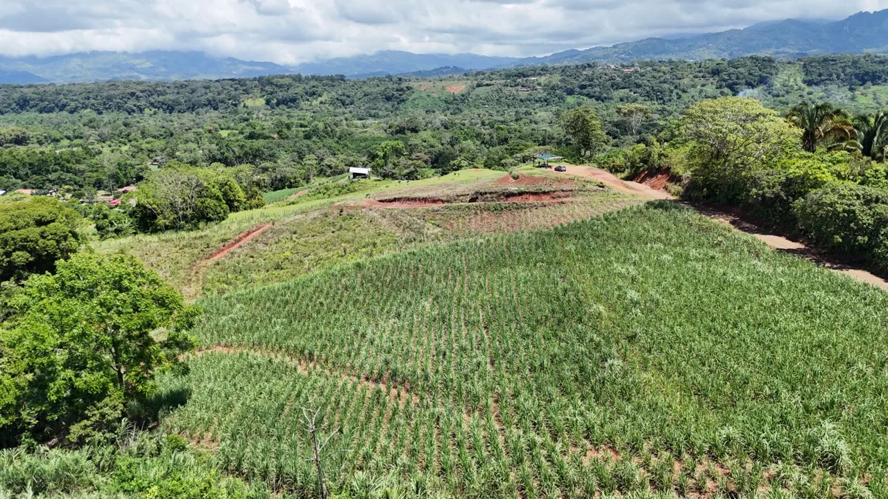 For Sale – Natural 2.5 Ha Retreat In General Viejo, Ready To Build With Stream &amp; Views — photo 4
