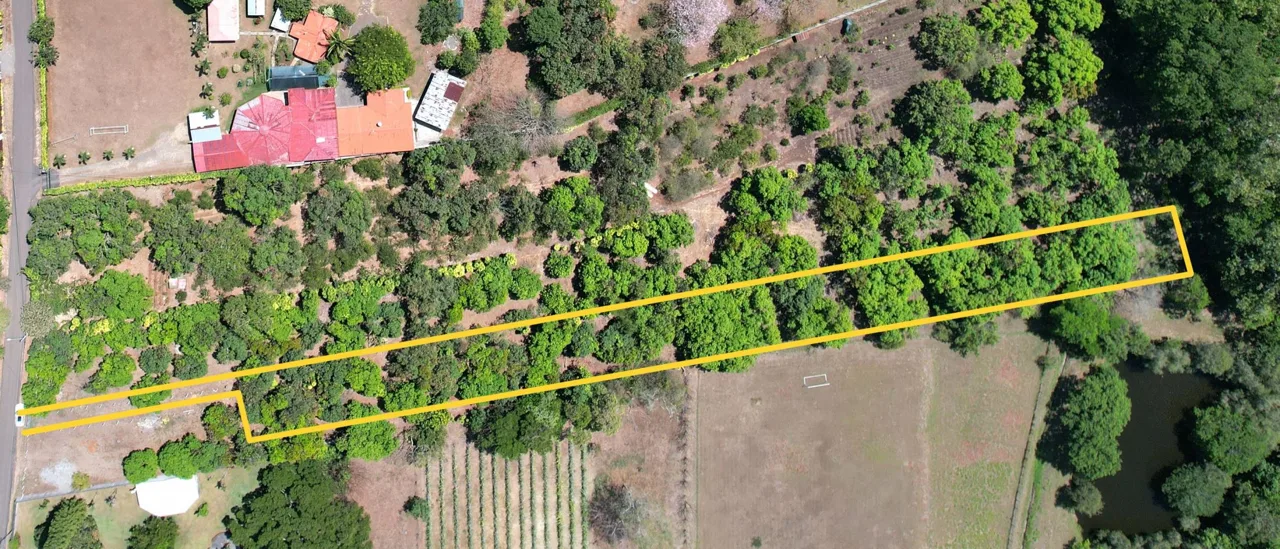 Peaceful 1.10-Acre Lot Surrounded by Nature – Just 10 Minutes from Downtown Atenas