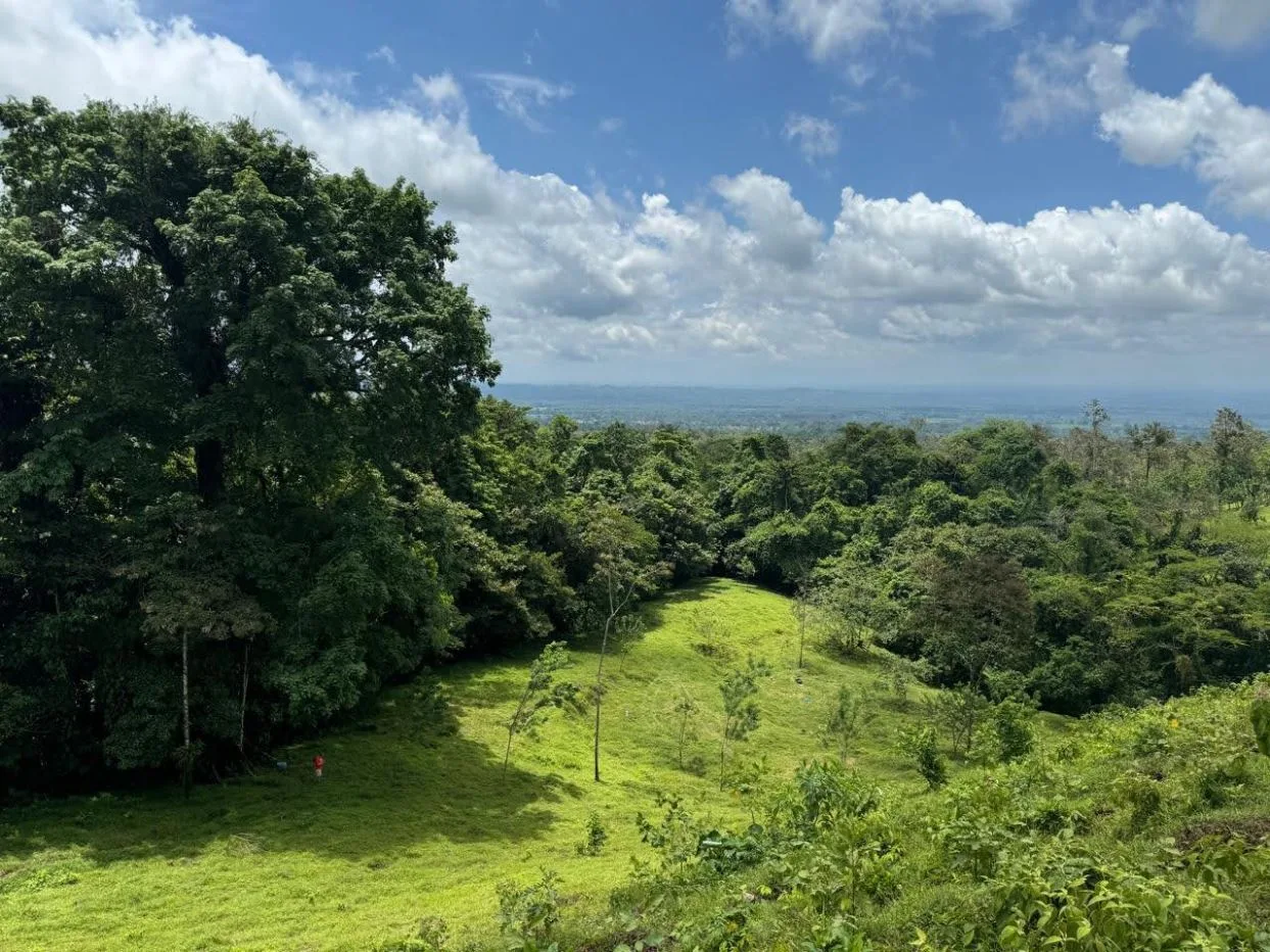 Exceptional Lot in La Fortuna – Steps from La Fortuna Waterfall with Volcano Views