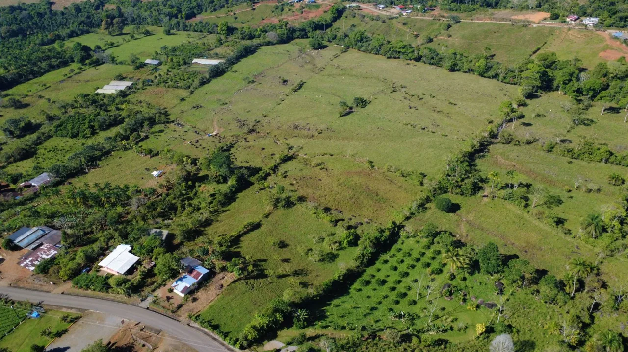 65,639 m² Farm for Sale with Chirripó Mountain Views – Paved Road Frontage
