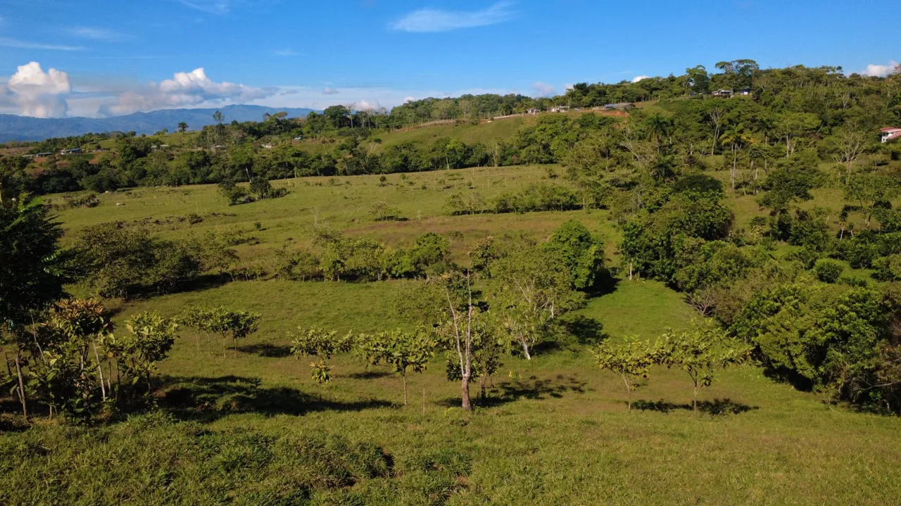 65,639 m² Farm for Sale with Chirripó Mountain Views – Paved Road Frontage — photo 4