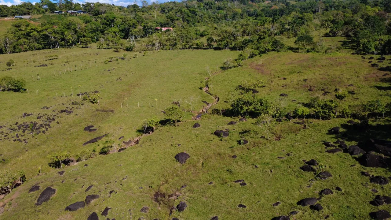 65,639 m² Farm for Sale with Chirripó Mountain Views – Paved Road Frontage — photo 5