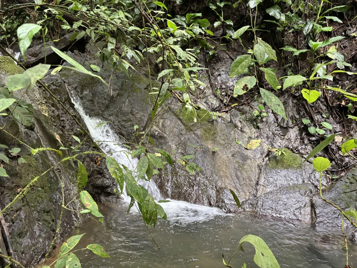 Mountain Haven with Waterfall, Wildlife &amp; Organic Soil — A Refuge for Visionaries