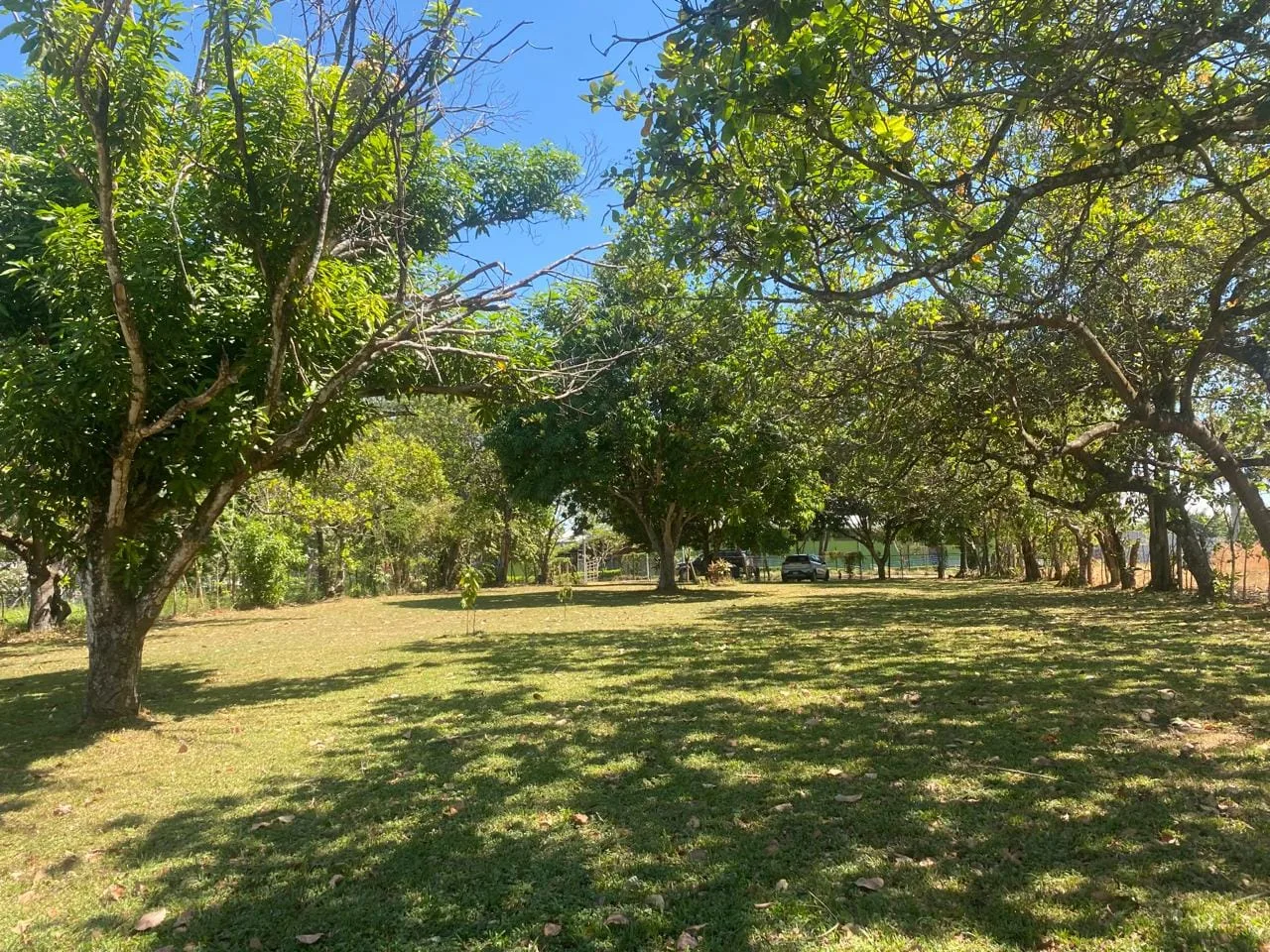 Land for sale in Orotina- Mixed Use