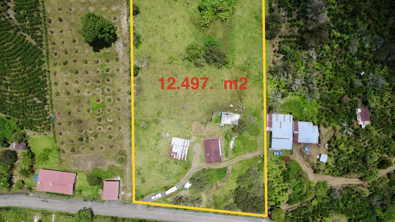 Invest in Nature: Discounted Mountain Property in Dota Costa Rica — photo 2