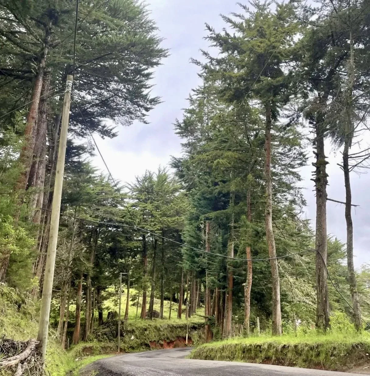 Invest in Nature: Discounted Mountain Property in Dota Costa Rica — photo 5