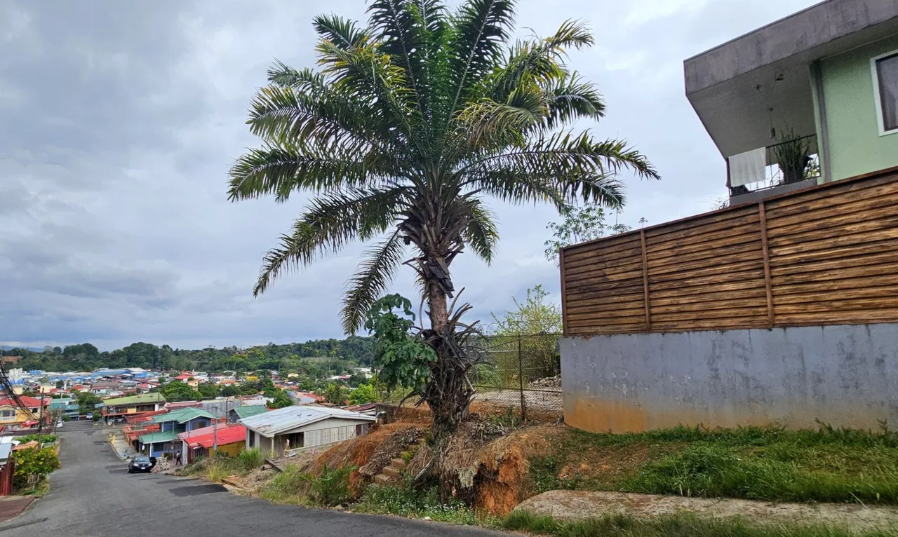 Elevated 111m² Lot in San Isidro, Perez Zeledon | Urban Views &amp; Ready to Build — photo 2