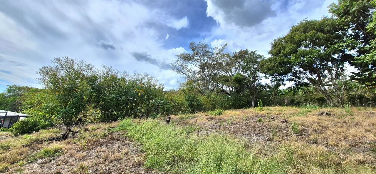 Build-Ready Lot in Morazán de Atenas