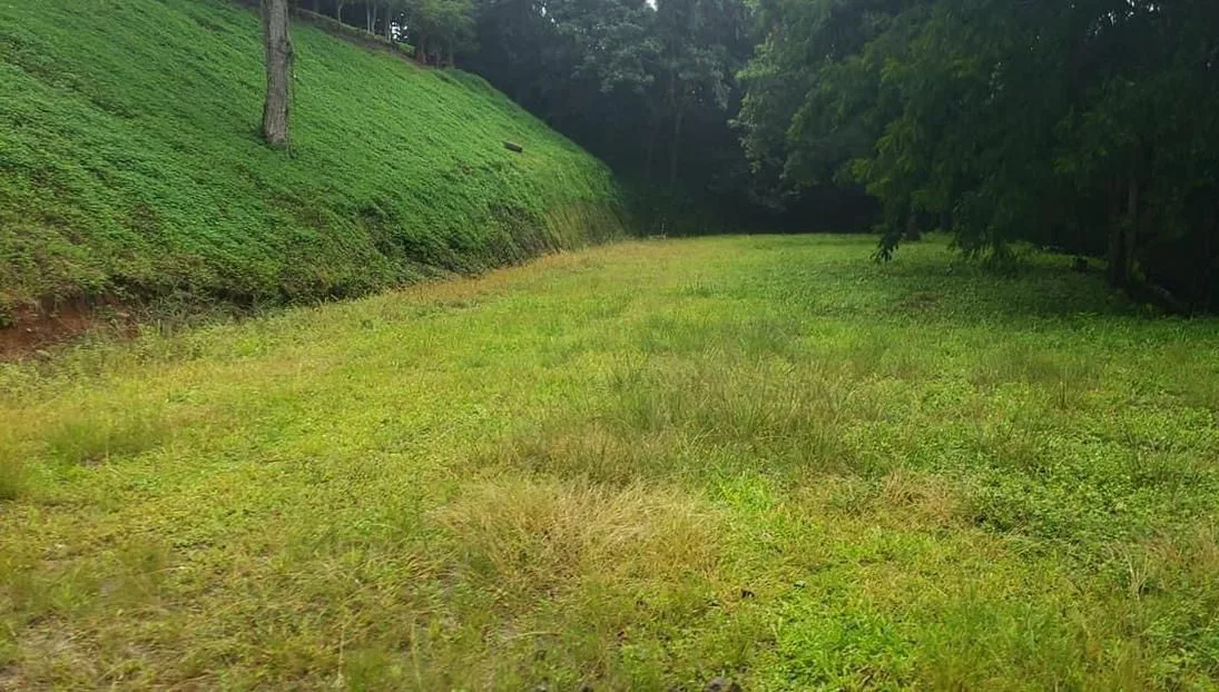 Ready-to-Build Lot