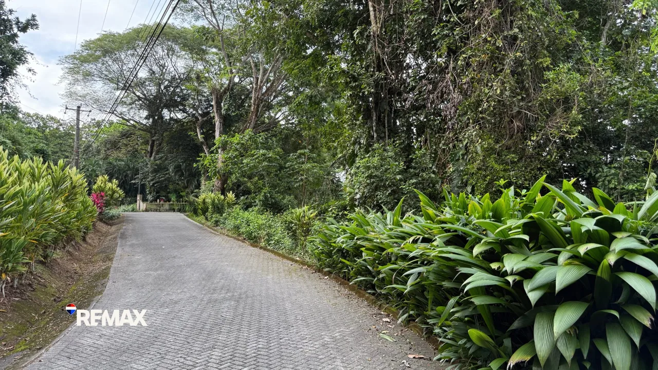 Costa Montaña Estates Lot for Sale | Ocean &amp; Mountain View Building Lot in Gated Community — photo 2