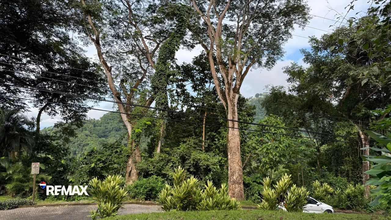 Costa Montaña Estates Lot for Sale | Ocean &amp; Mountain View Building Lot in Gated Community — photo 3