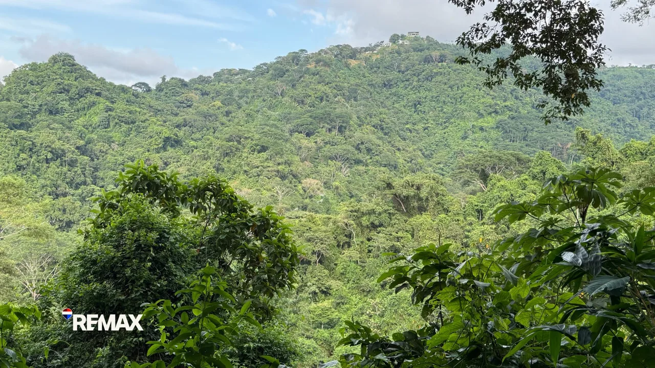 Costa Montaña Estates Lot for Sale | Ocean &amp; Mountain View Building Lot in Gated Community — photo 4