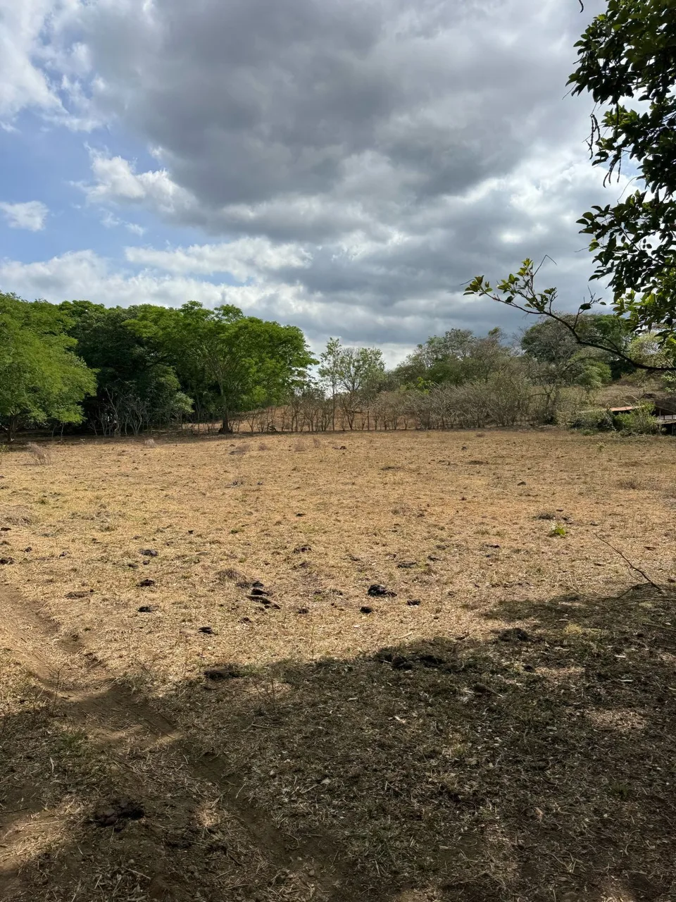 15-Hectare Development Land for Sale in El Coyol, Alajuela