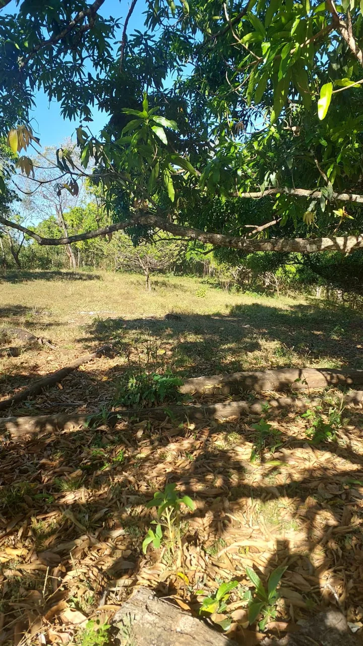 Beautiful farm for Sale