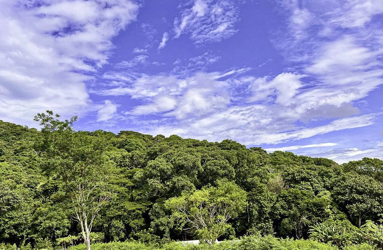 Ciudad Colon Dream Homesite — photo 2