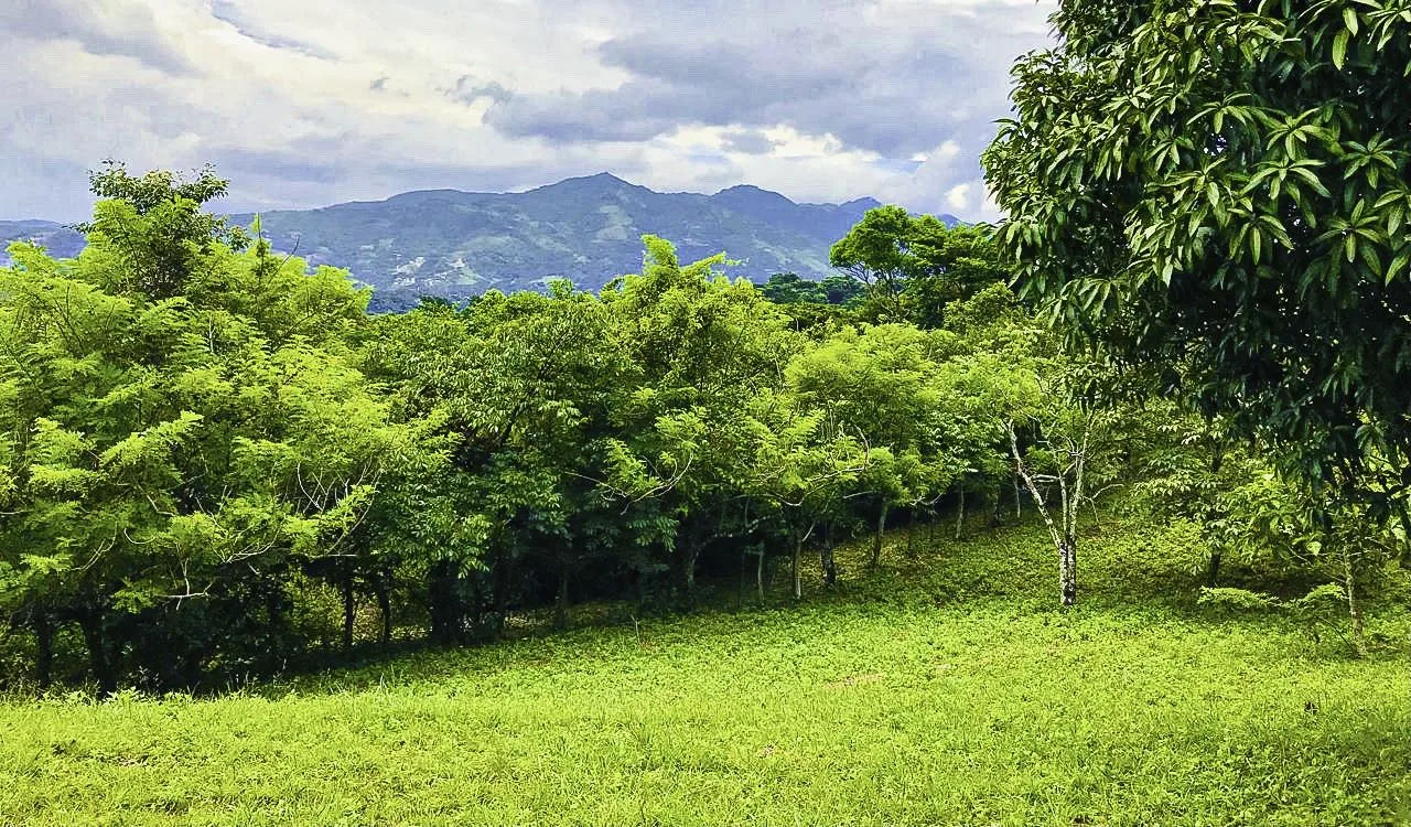 Ciudad Colon Dream Homesite — photo 3