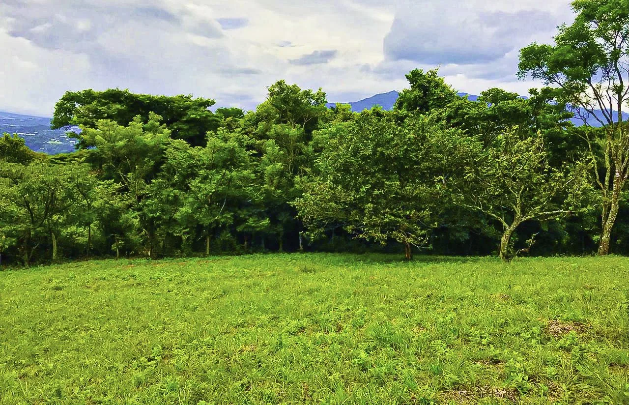 Ciudad Colon Dream Homesite — photo 4