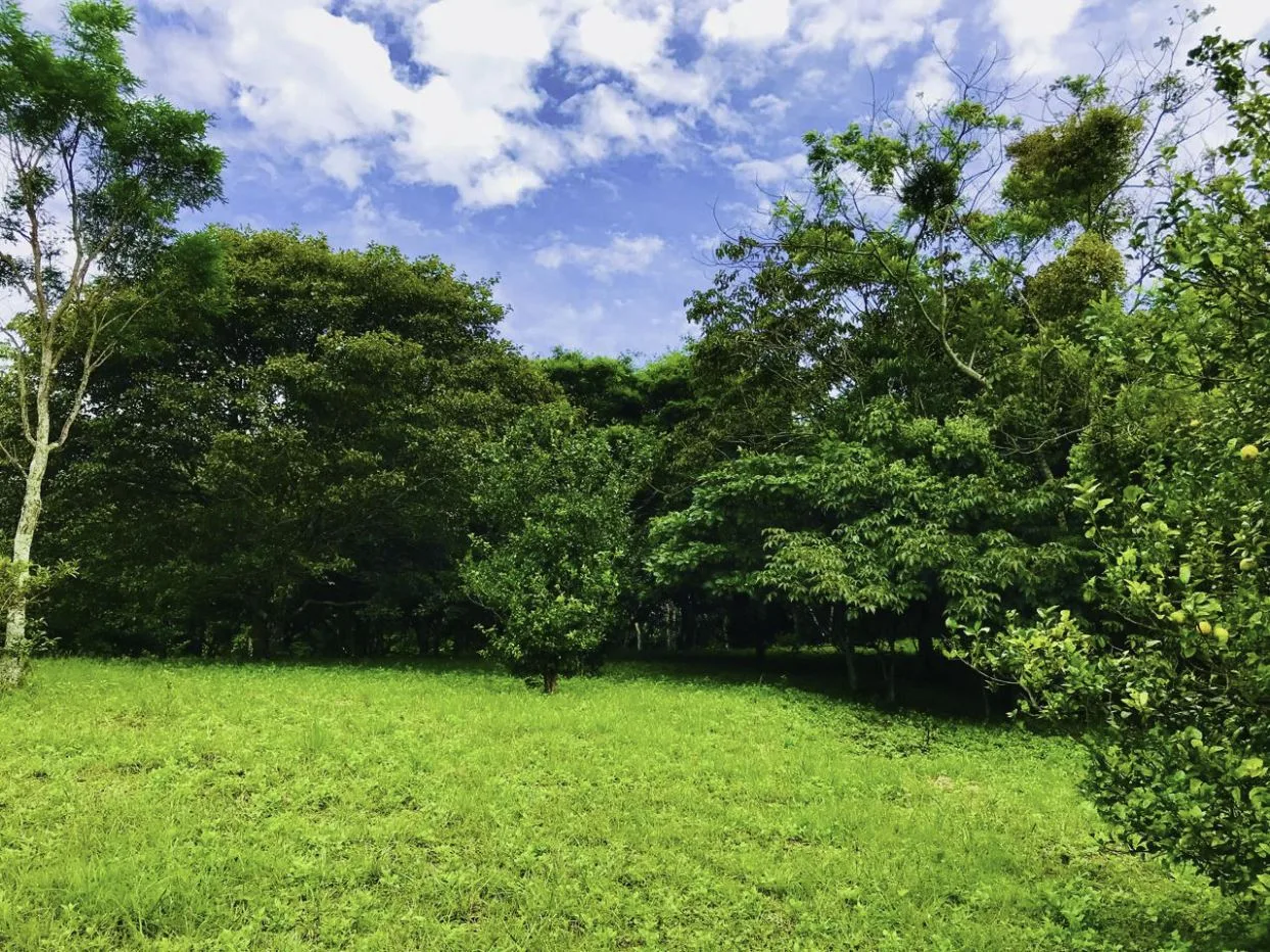 Ciudad Colon Dream Homesite — photo 5