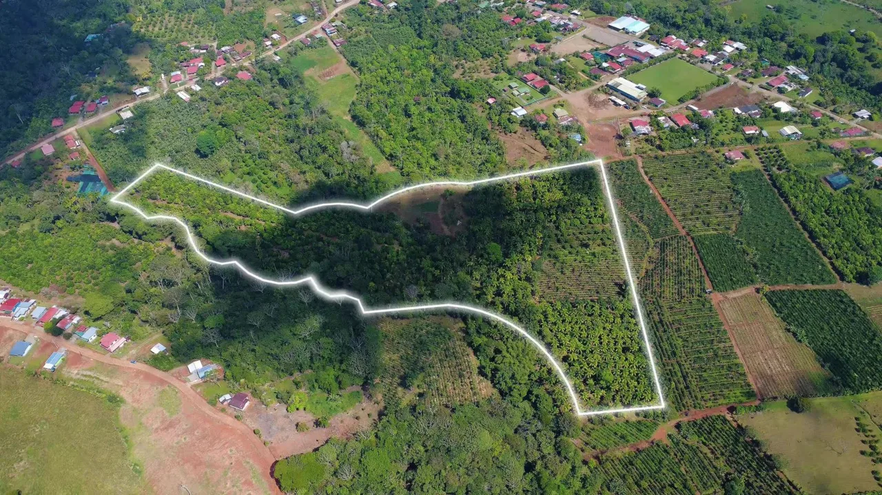 Productive Farm for Sale in Pueblo Nuevo de Cajón – High Profitability &amp; Strategic Location