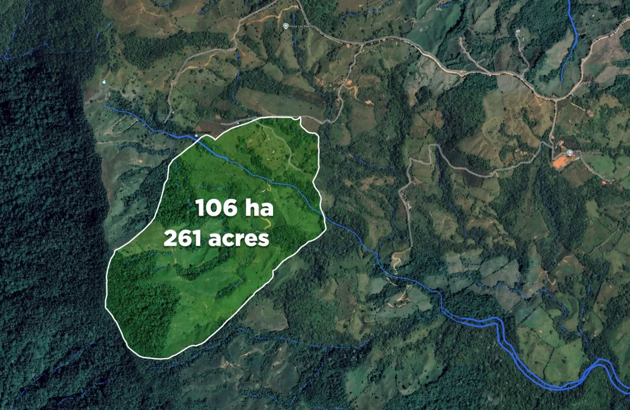 Epic Mountain For Sale With Mind-blowing Views Perez Zeledon Costa Rica