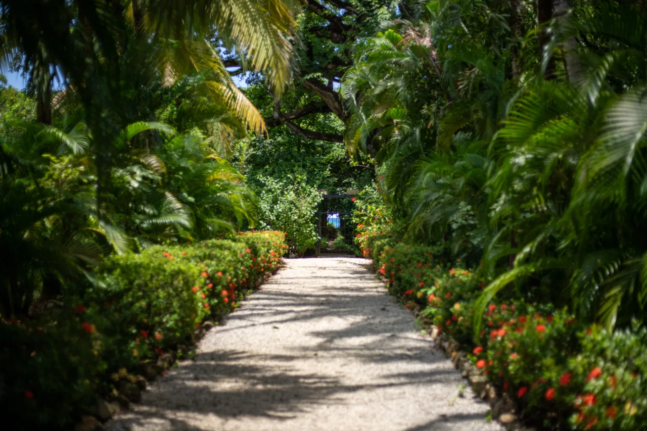 BEACH CONDO, WALK TO PLAYA PELADA
