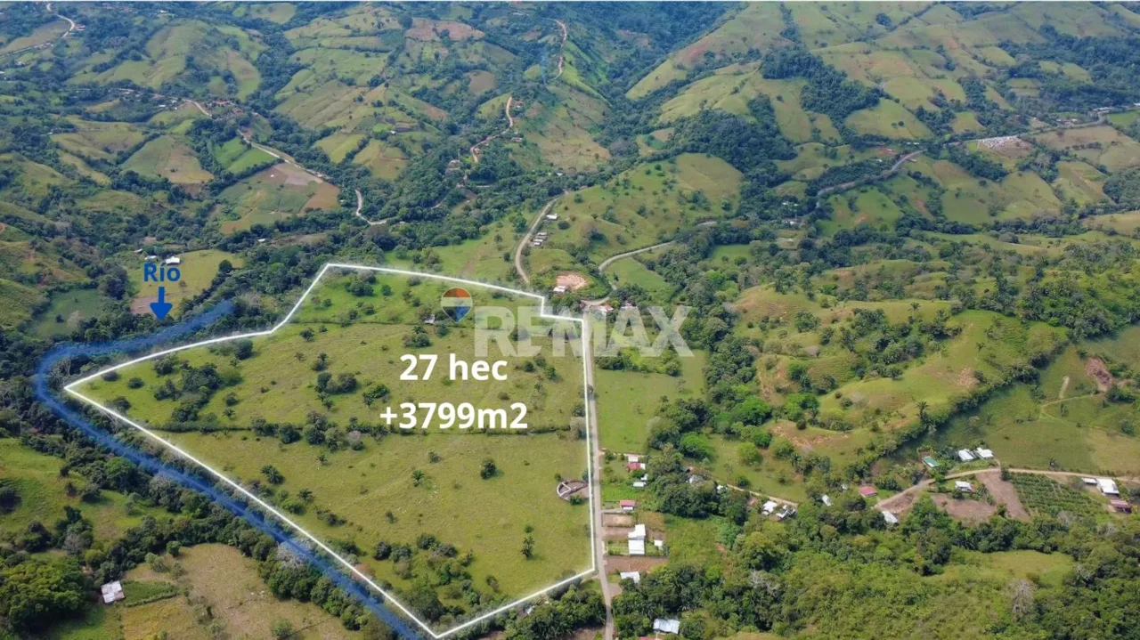 Flat Cattle Farm for sale in Perez Zeledon