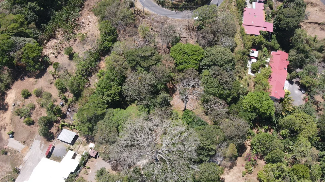 Unique Opportunity! Ideal Land for Investment or Development in Ciudad Colon — photo 4