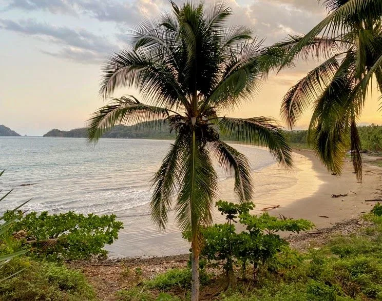 Prime Beachside Land for Sale – Playa Órganos, Costa Rica