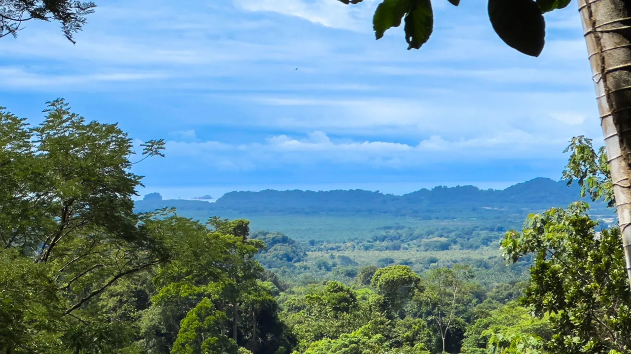Incredible 30.4 Hectare Finca near Manuel Antonio for the Best Price - Ocean Views, Private Waterfall &amp; River