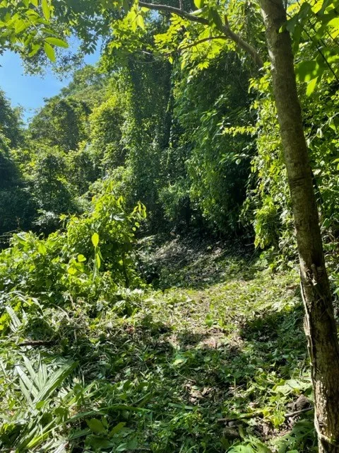 Large property in the nature of Atenas