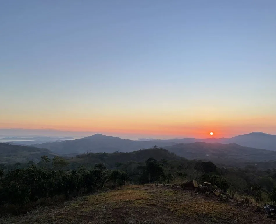 Breathtaking 360° Views | Profitable Coffee &amp; Orange Farm