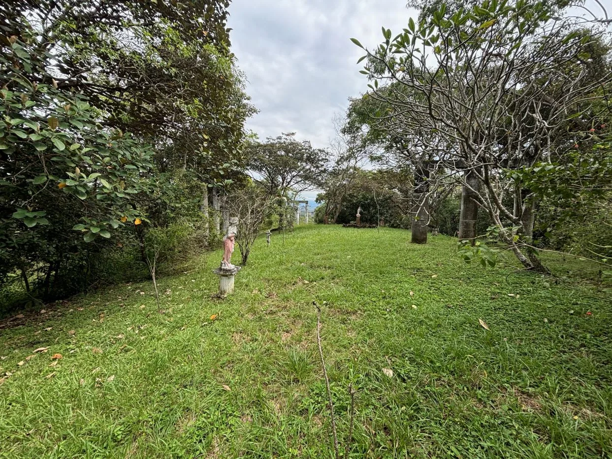 Nice 500m2 (1/8 acre) lots in the Atenas countryside