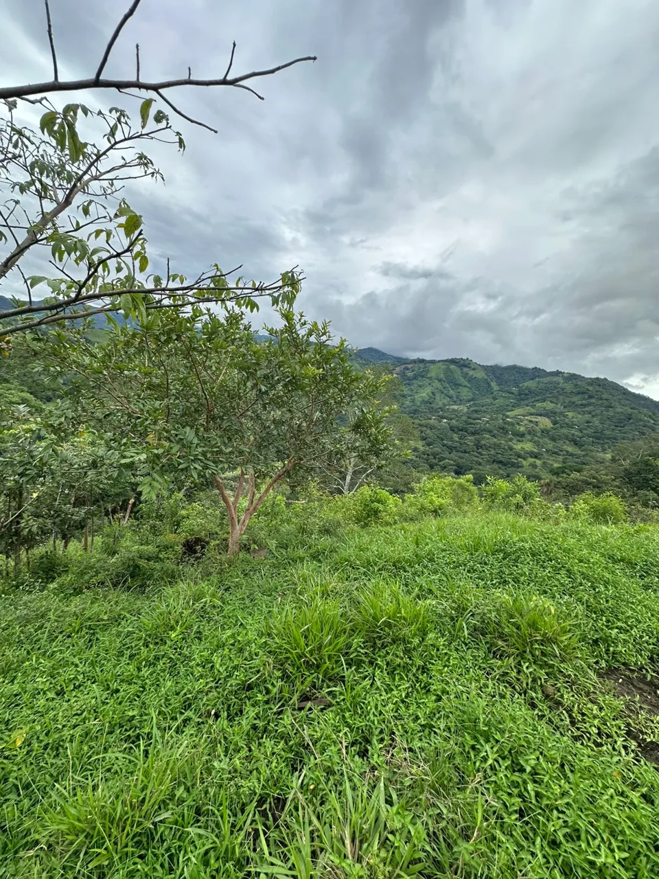 Ocean view property - Great Opportunity on Sale , Desmonte San Mateo