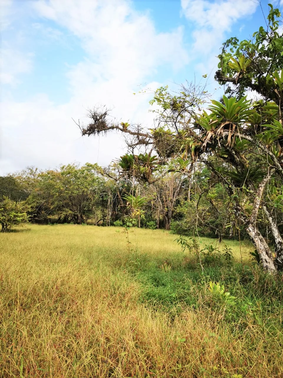 Private Lot, flat topography in a Private Community, Close to Santa Teresa.