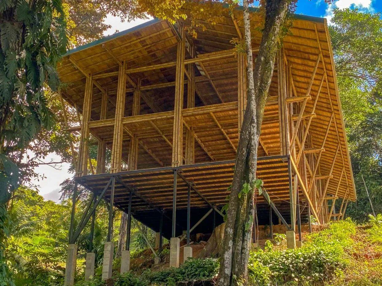 Bamboo Property for Sale Near Playa Ballena | Prime Costa Ballena Development Opportunity