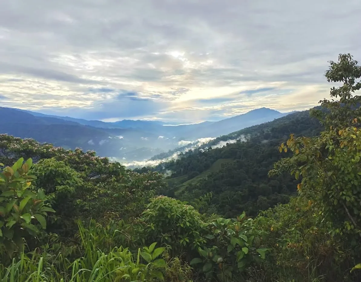 Prime 360° View Lot with Pacific and Savegre Valley Vistas