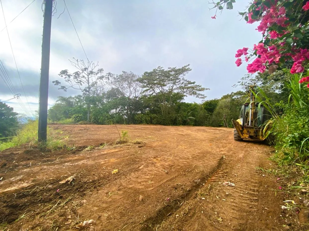 LOT FOR SALE IN SANTIAGO SAN RAMON
