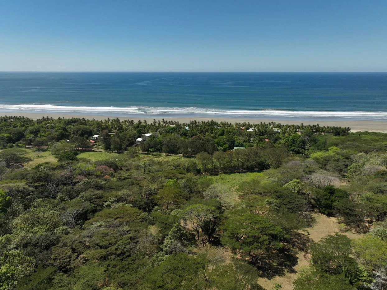Pacific Serenity Lot