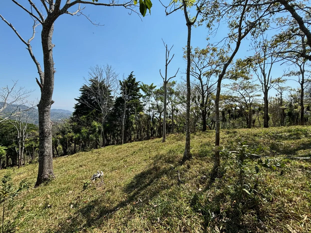 Farm in cool area of Atenas with view - Alto Del Monte, Atenas, Alajuela