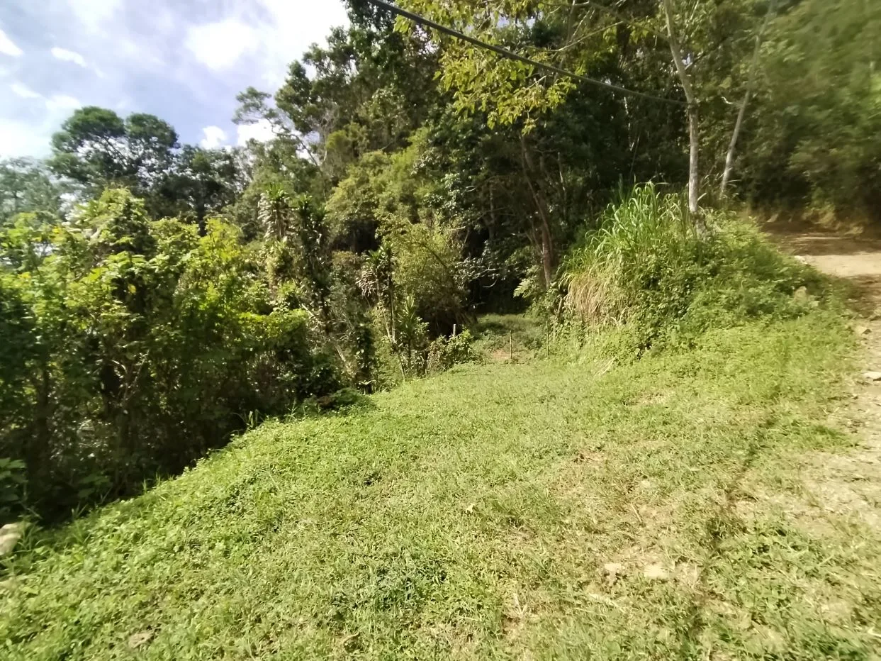 Off-Grid Opportunity - Private Retreat Lot for Sale in Perez Zeledon — photo 2