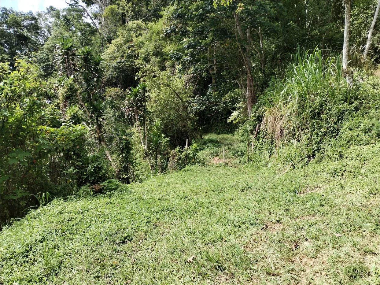 Off-Grid Opportunity - Private Retreat Lot for Sale in Perez Zeledon — photo 3