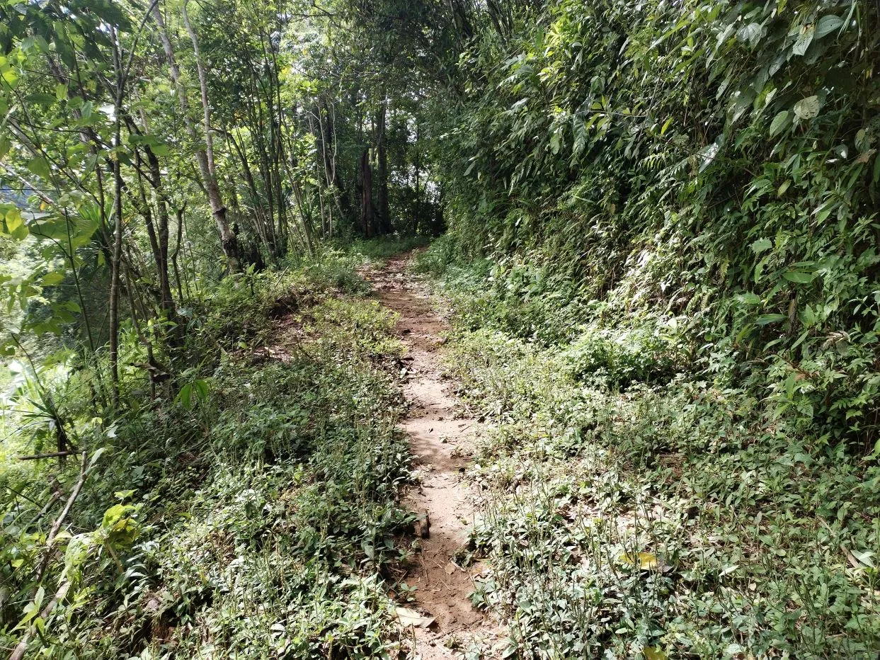 Off-Grid Opportunity - Private Retreat Lot for Sale in Perez Zeledon — photo 4