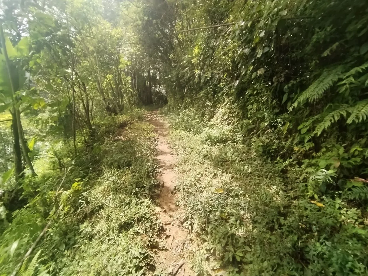 Off-Grid Opportunity - Private Retreat Lot for Sale in Perez Zeledon — photo 5