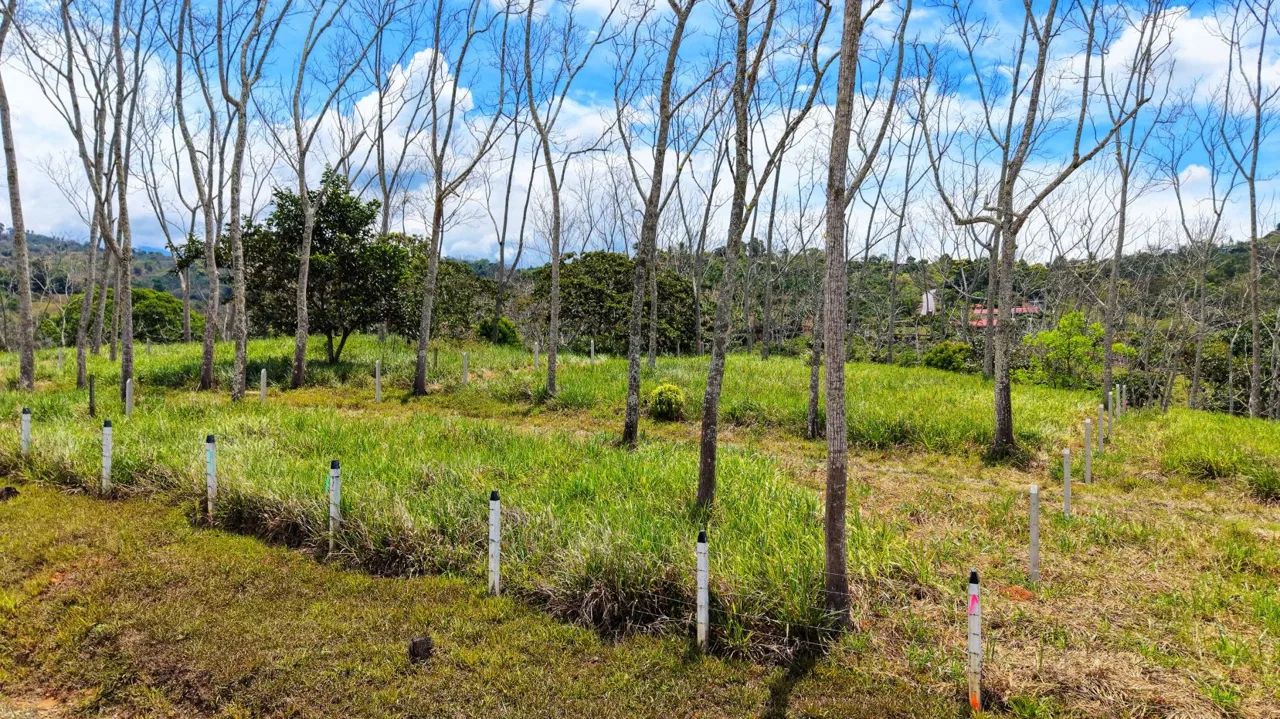 For Sale: One of 3 Premium Lots in Santa Rosa, Perez Zeledon – Don’t Miss Out