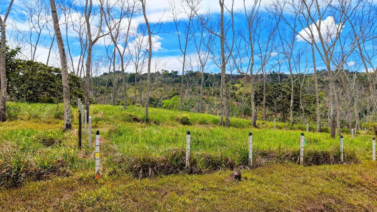 For Sale: One of 3 Premium Lots in Santa Rosa, Perez Zeledon – Don’t Miss Out — photo 2